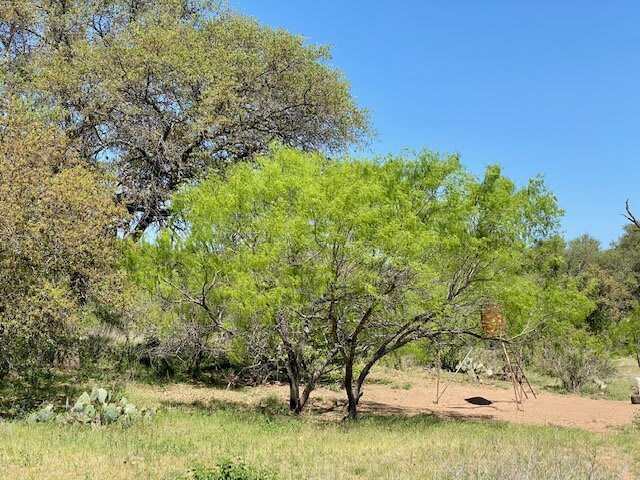 Llano Granite Ranch