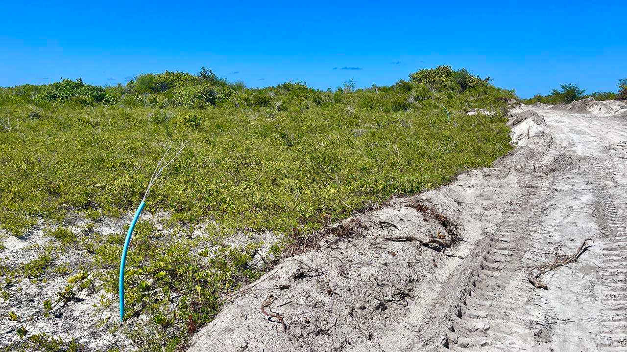 150 Anegada 0.517 Acres Luxury Properties BVI Tortola Real Estate Agents