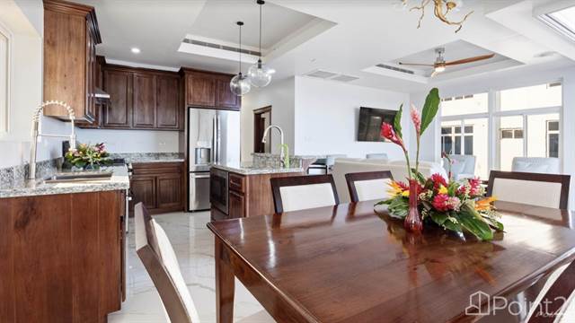 The Rose Suite - Luxury Beachfront 3 Bed 3.5 Bath 5th Floor Penthouse