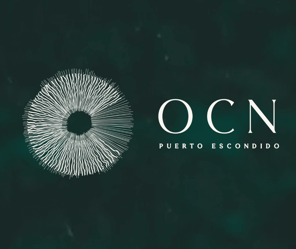 OCN Puerto Escondido