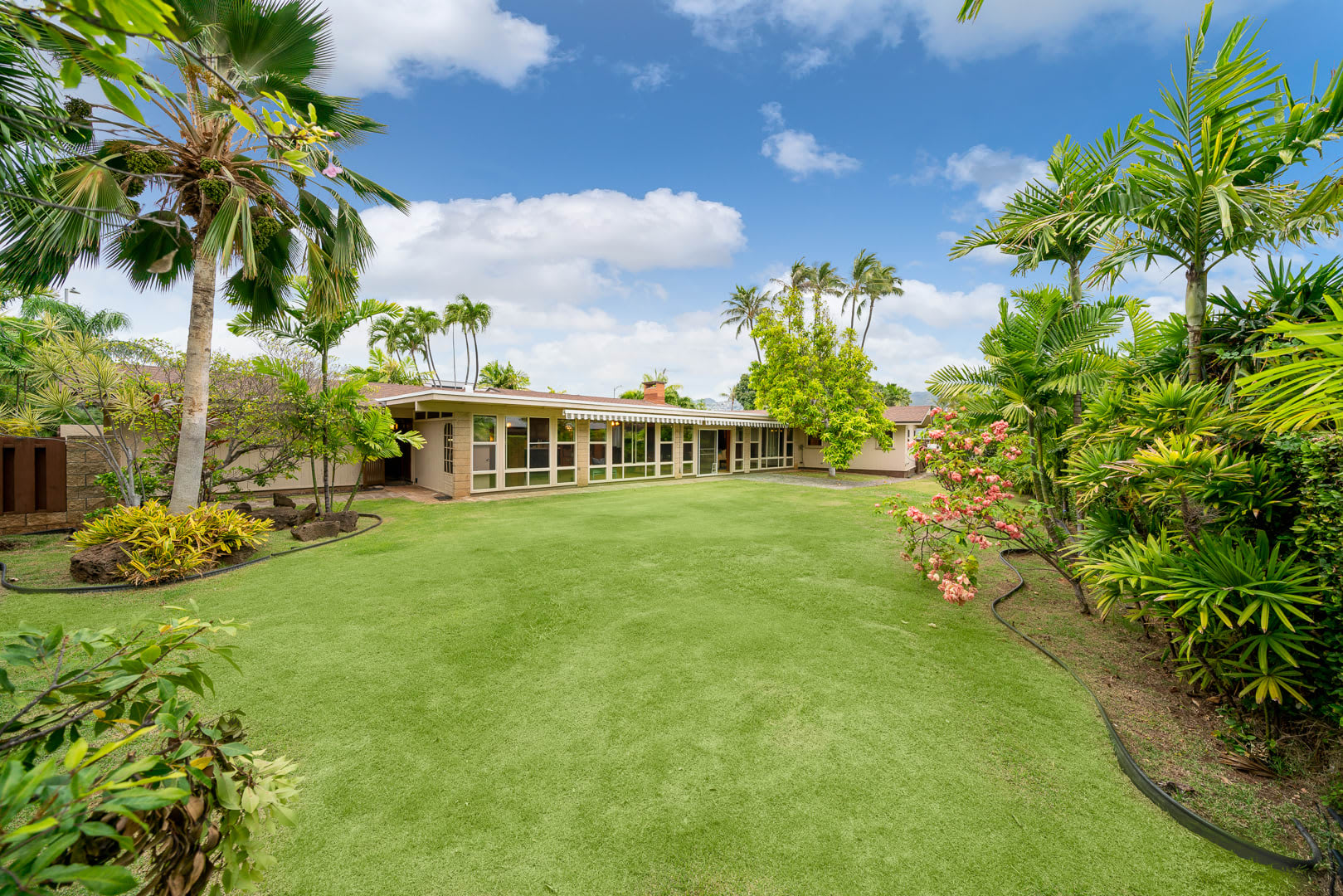Tracy Allen Honolulu Real Estate Agent