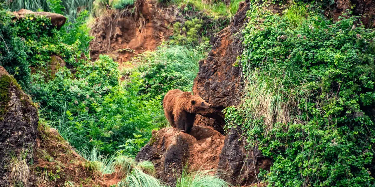 20 Homes That Are Habitats Define Real Estate