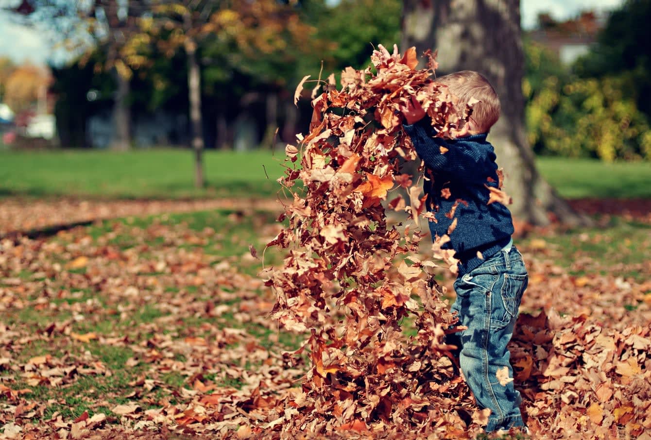 child playing in the autumn leaves