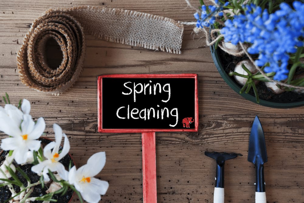 Refresh Your Home: Essential Spring Cleaning Tips Before Summer Arrives