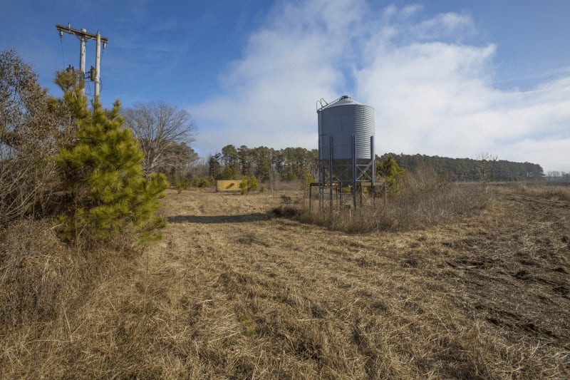 Duck Lease NC Duck Hunting Leases Blog Legacy Farms and Ranches