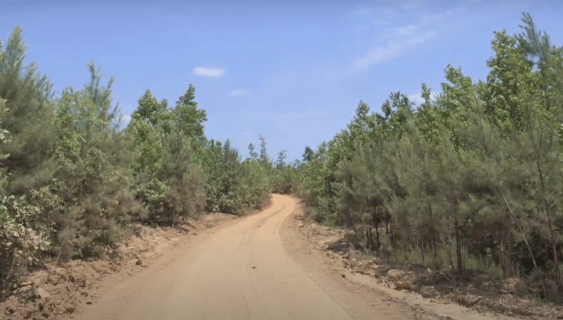 Chatham County NC Tree Farm for Sale on Partian Road