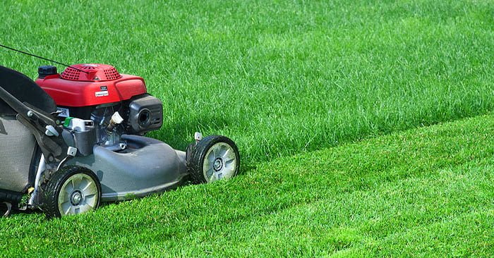 With Spring in Full Swing, Here Are Some Tips on How to Tune up Your Lawn Mower