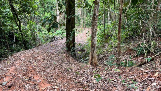 Riverfront Ranch Above Uvita With Waterfalls, and Ocean Views