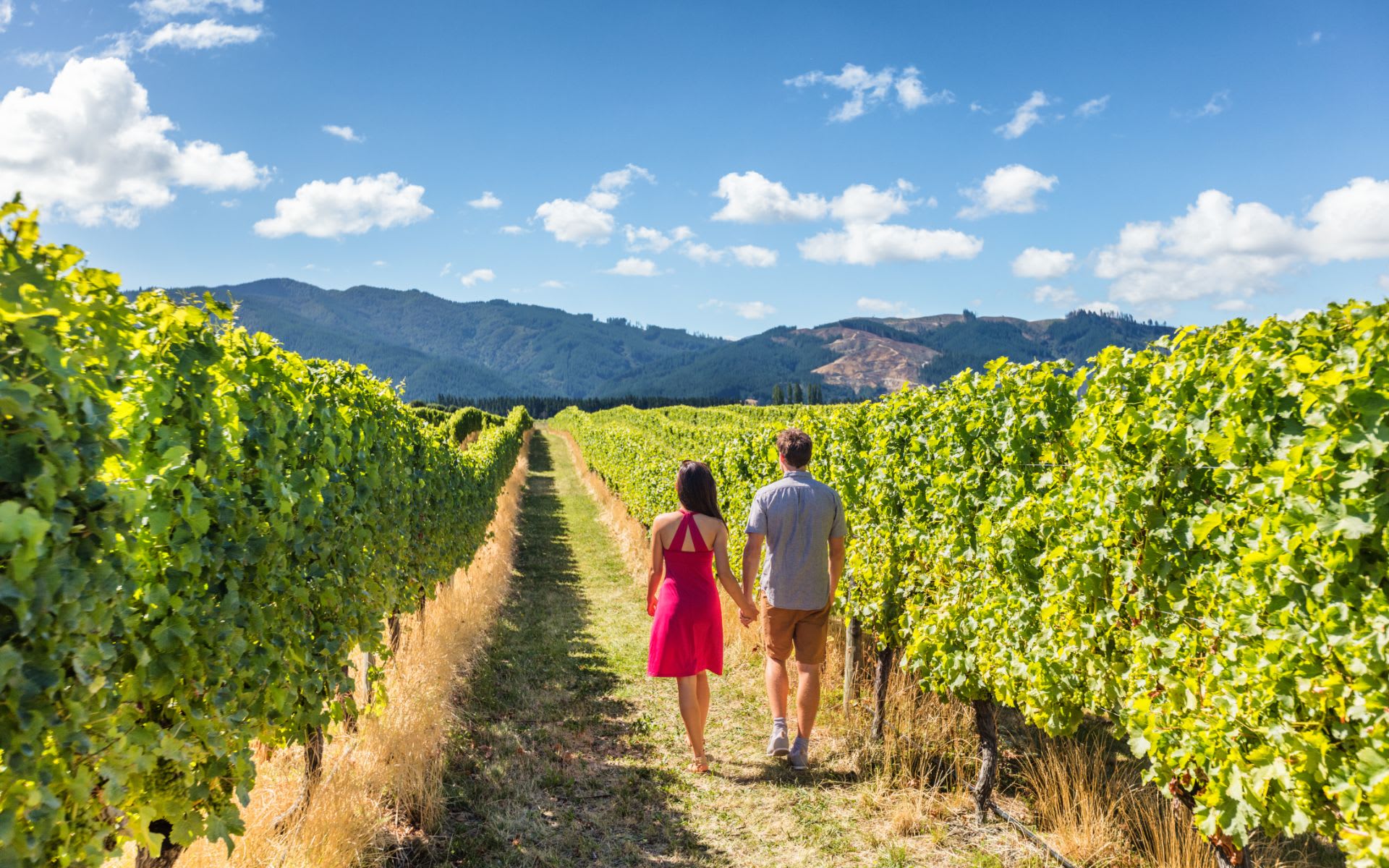 Testimonials Cessna Barrett Napa Valley Real Estate Broker