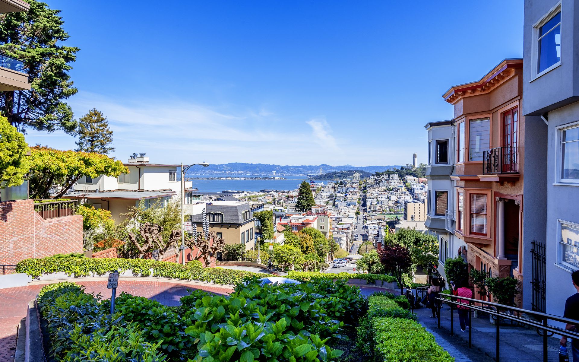 Russian Hill Community Guide Williamson & Sally Williamson