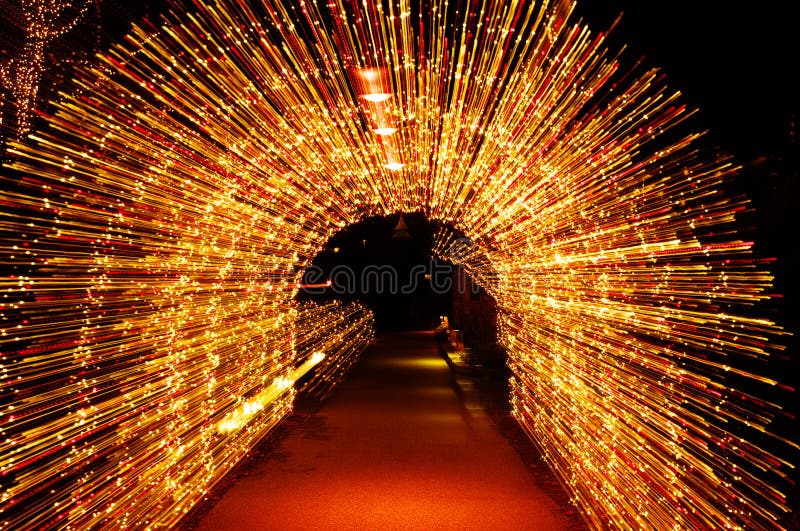 The Magic of Holiday Lights Best Local Displays