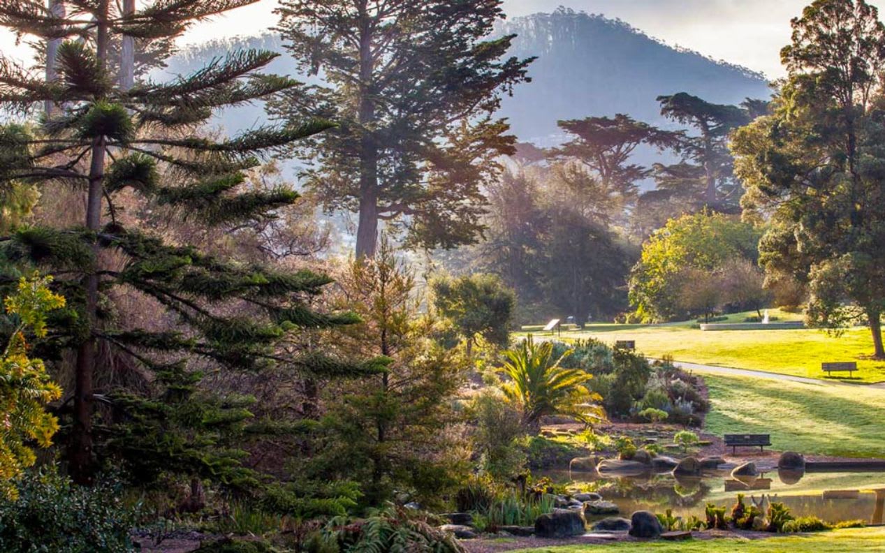 Tranquil landscape at San Francisco Botanical Garden.