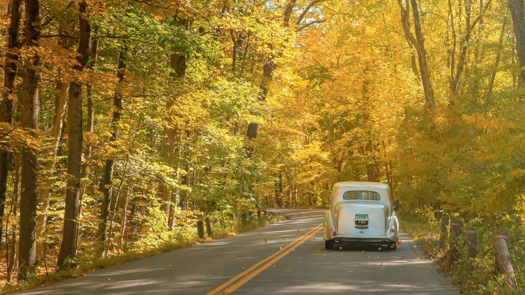 car driving down Greenwich Backcountry road in the autumn