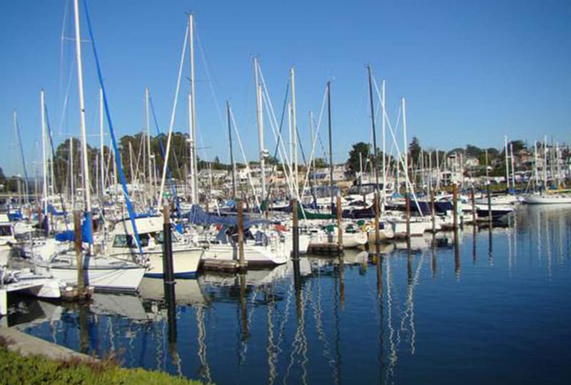 Seabright Real Estate Area Guide Seabright Homes for Sale Santa