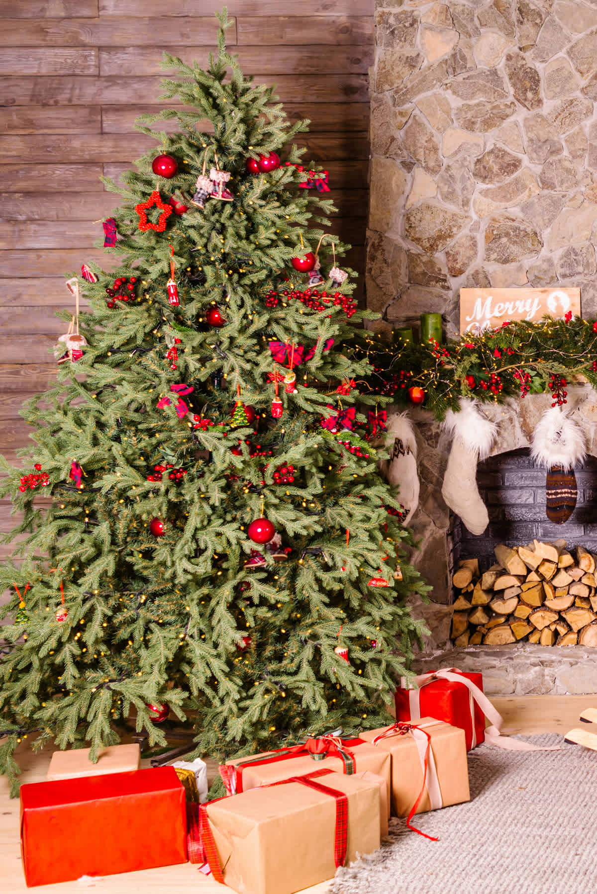 How to cut your own Christmas Tree - Denver, Colorado