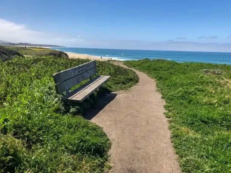 Best Hikes and Trails in Half Moon Bay State Beach