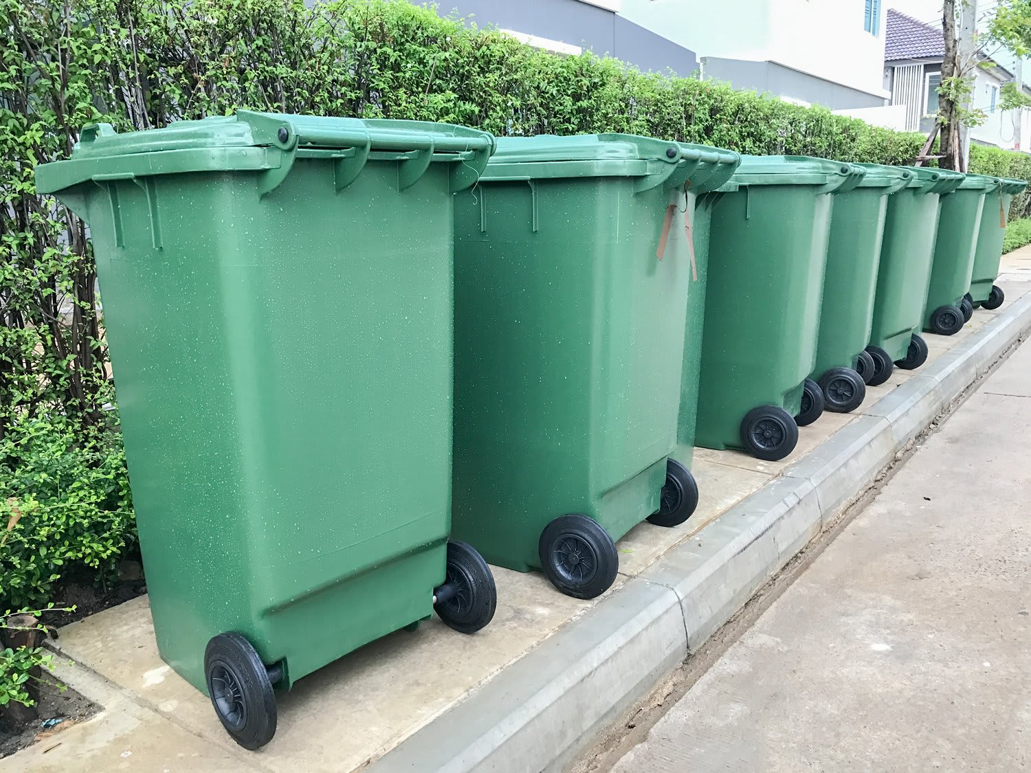 hoa