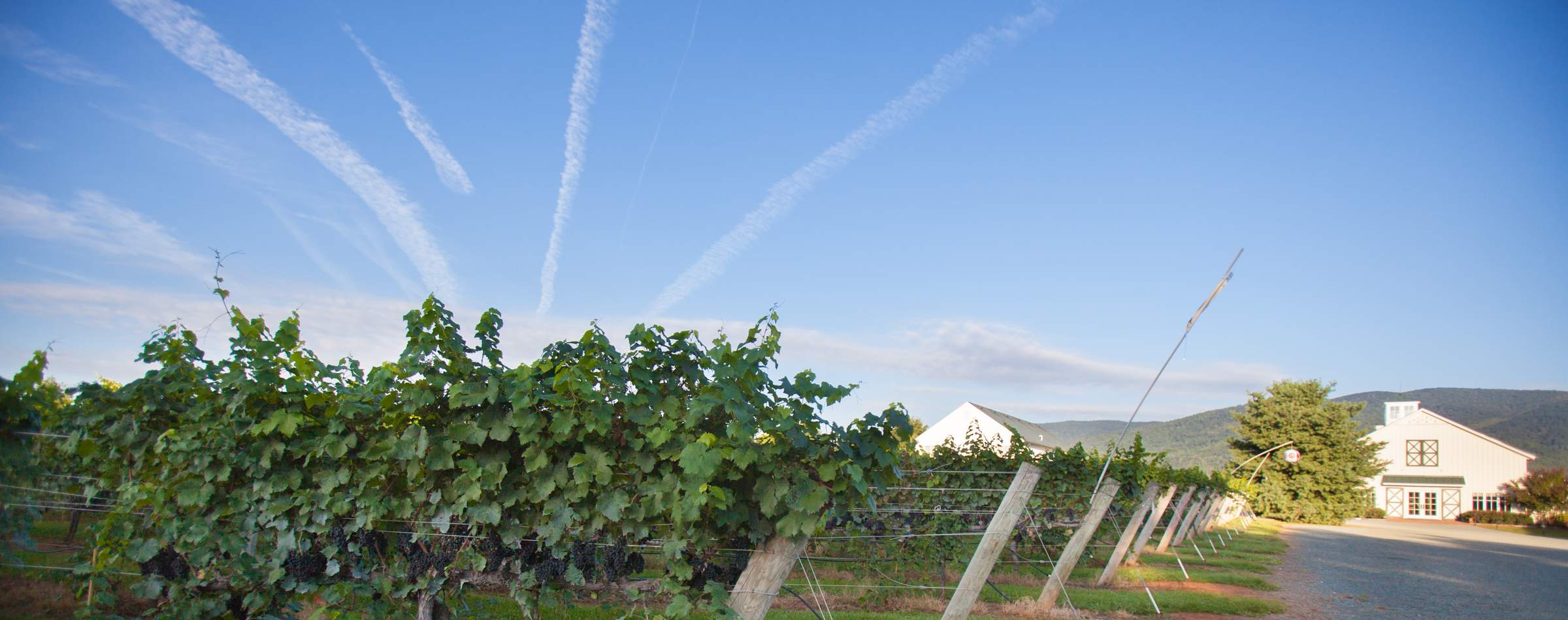 King Family Vineyards - 4