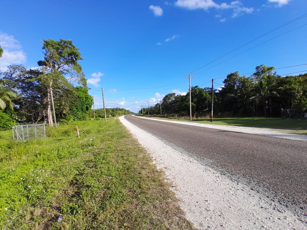 Tropical suburban charm - Luxury 3 bed 4 bath 2 story single family home on 3 acres