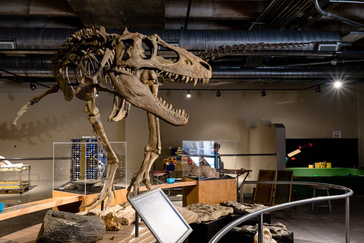 Local Love NEST Magazine