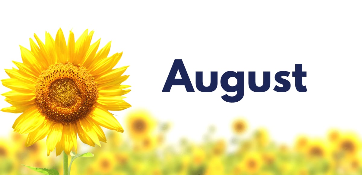 SAN FRANCISCO REAL ESTATE MARKET UPDATE