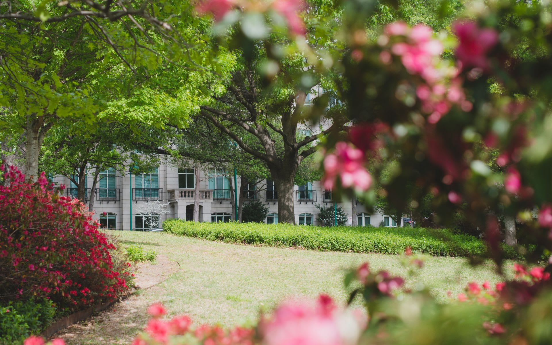 Turtle Creek real estate