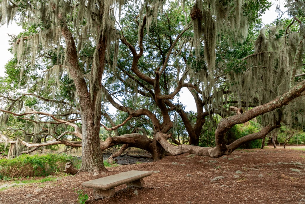 Park Pass for Charleston County Parks