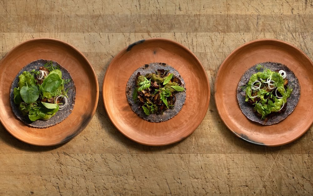 Three plates of gourmet tacos on wooden table, each taco garnished with fresh herbs and vegetables.