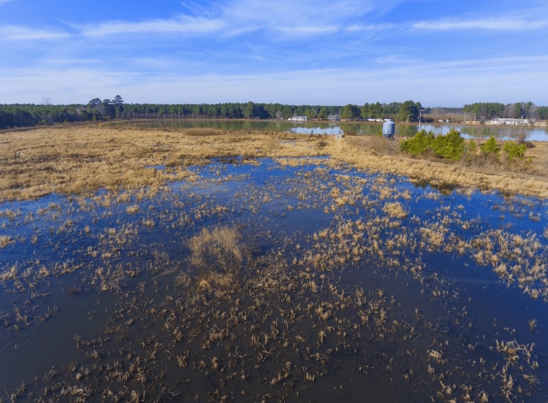 Duck Lease NC Duck Hunting Leases Blog Legacy Farms and Ranches