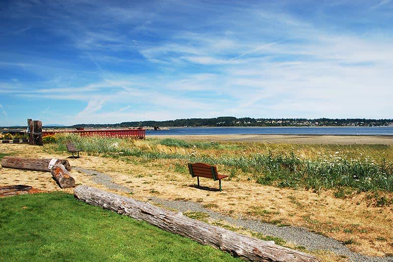 Tessa Procter Courtenay, BC Real Estate Agent