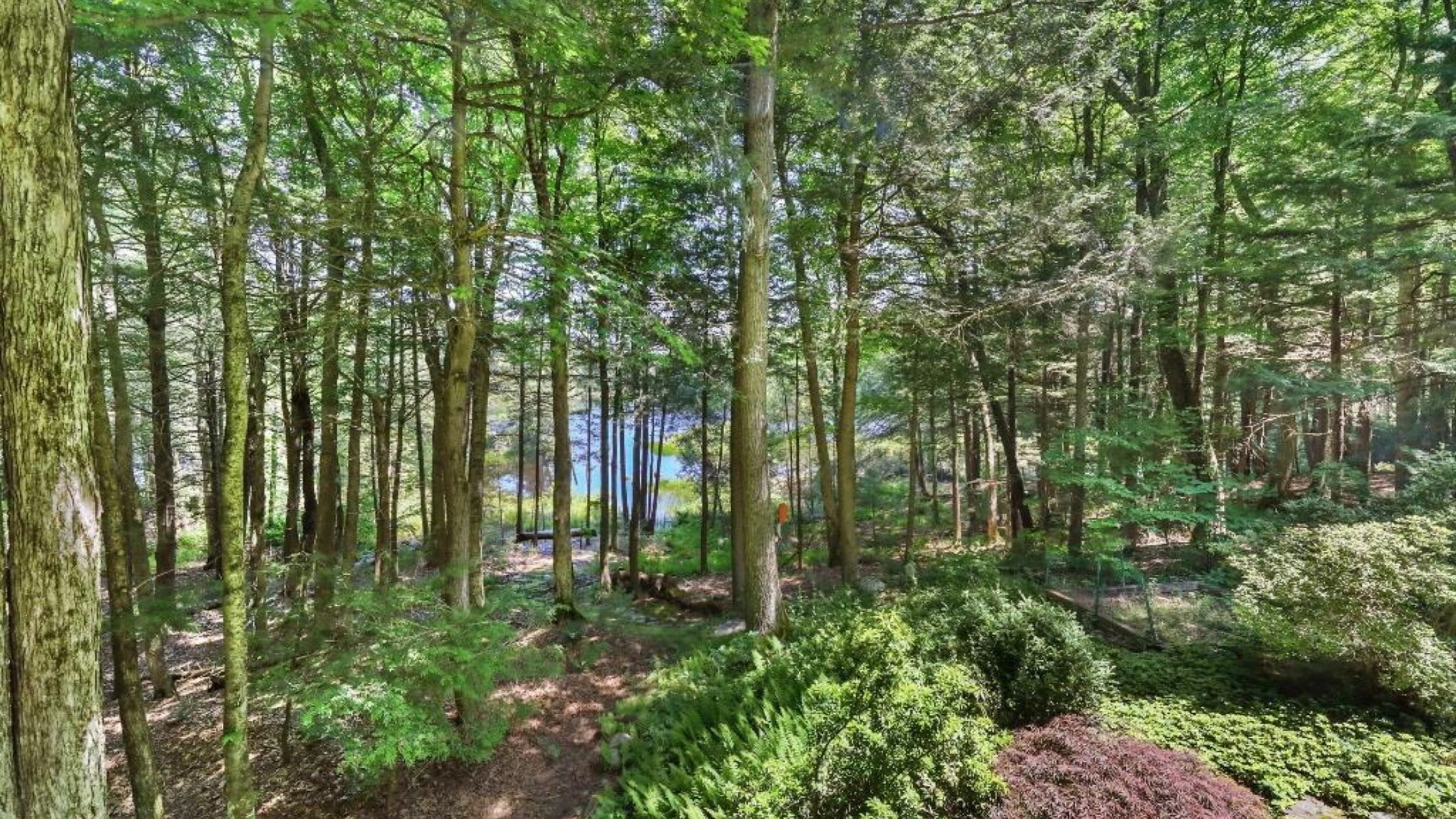 339 LAKESHORE DR SANDISFIELD, MA 01255 - Backyard - stone house properties