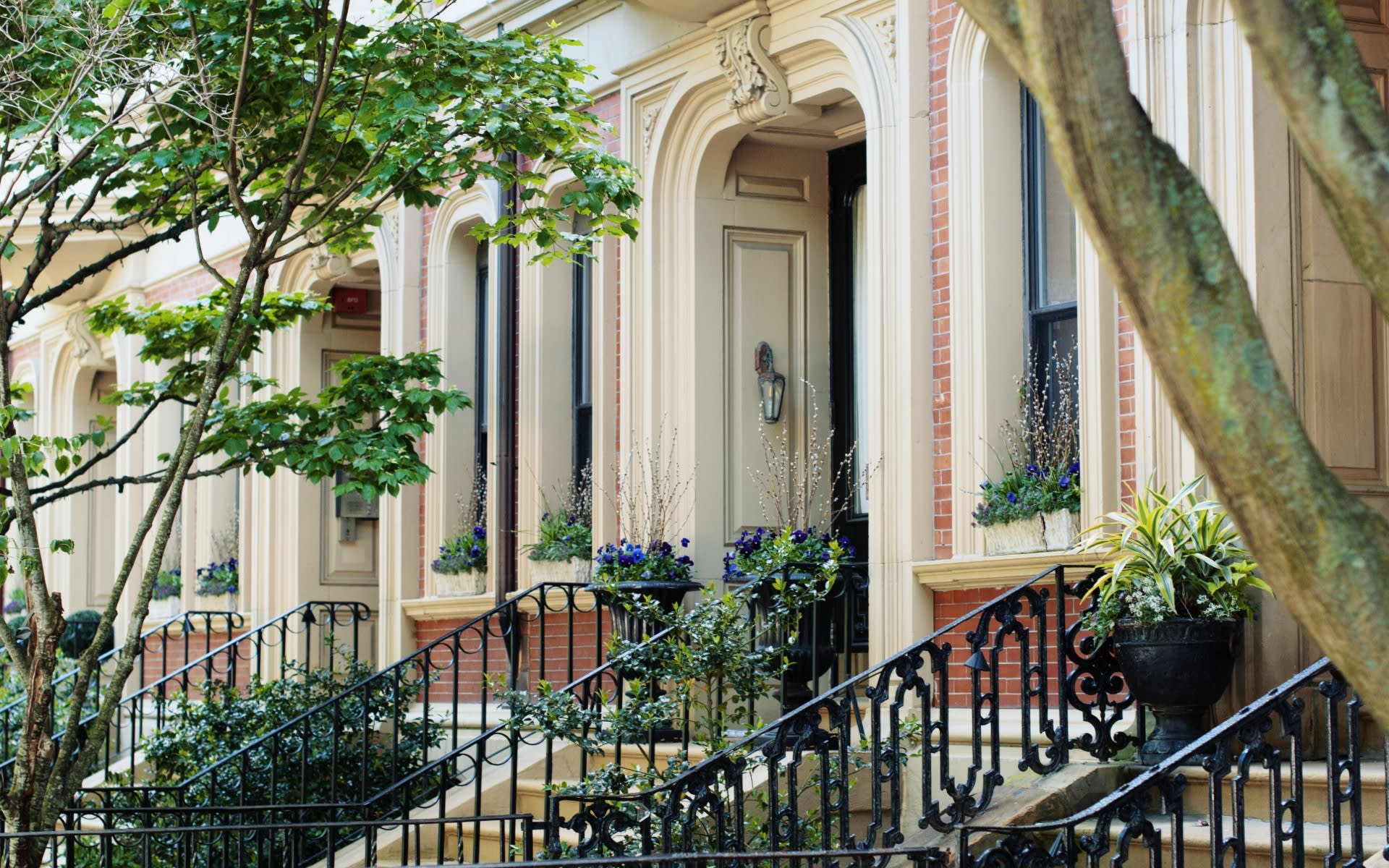 About Gregory Cohen New York Real Estate Agent