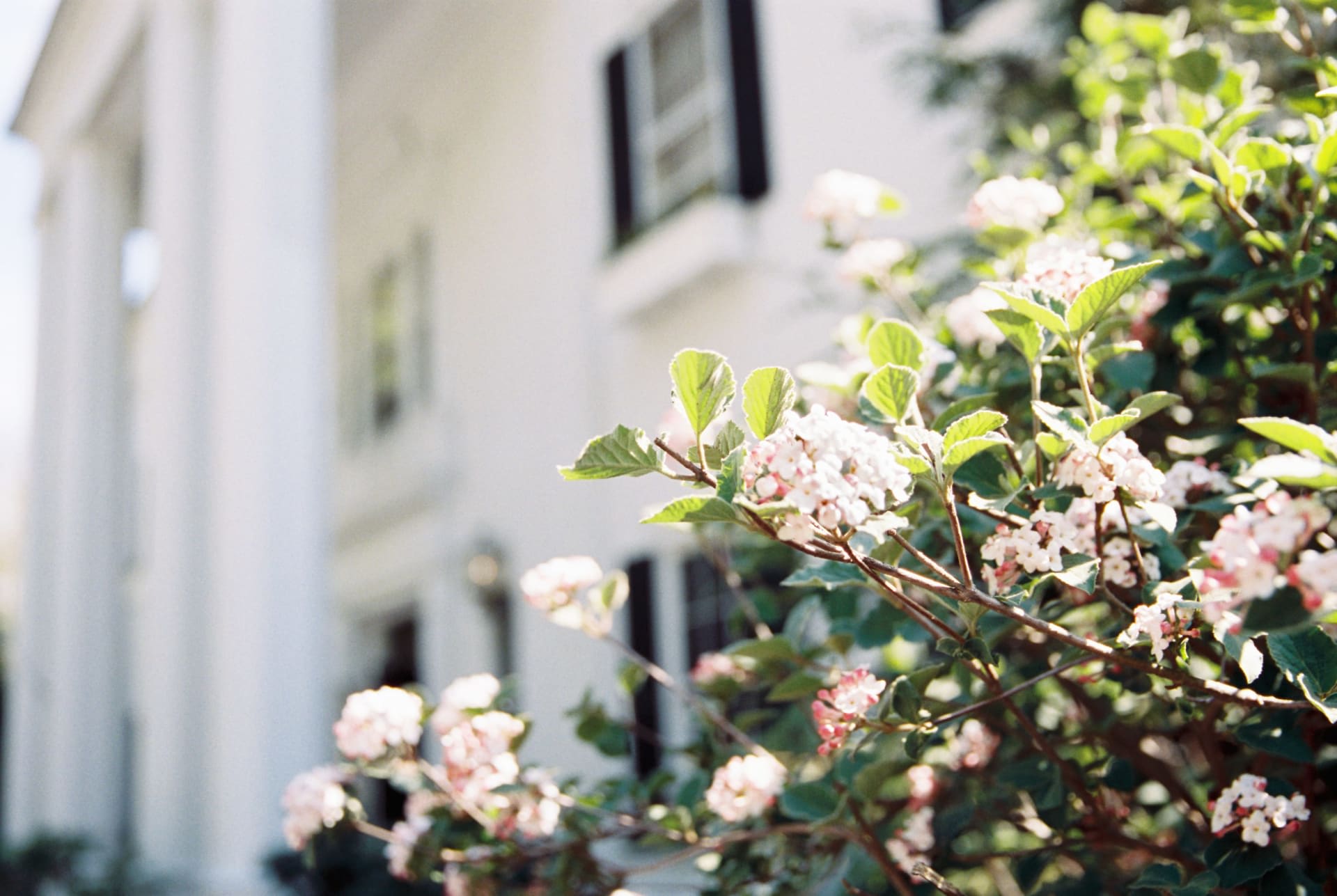 Charming home exterior representing final walkthrough and title recording