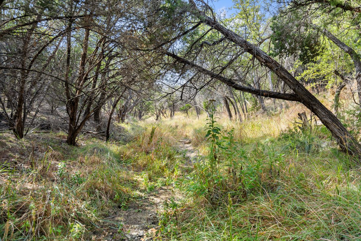 Ranch at Cypress Hill Springs