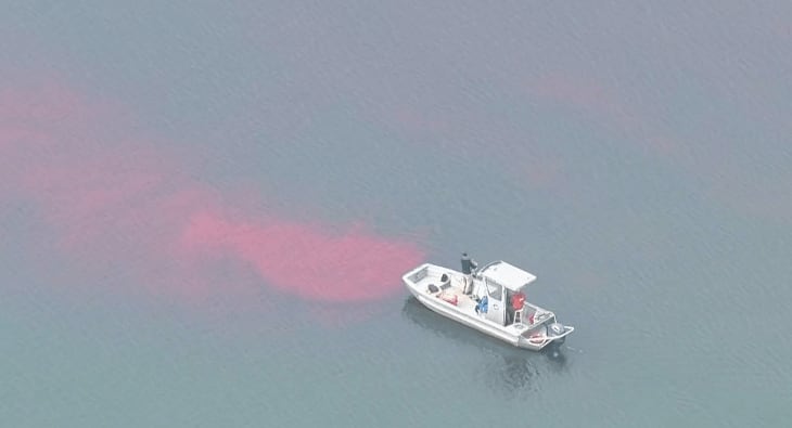 Washington Department of Health using red dye to study water quality around Oak Harbor