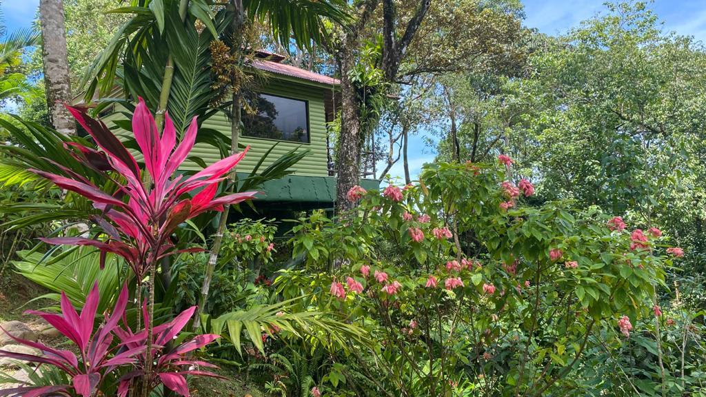 6 Beautiful Tree House Villas and Owners Home on Calle Toucan