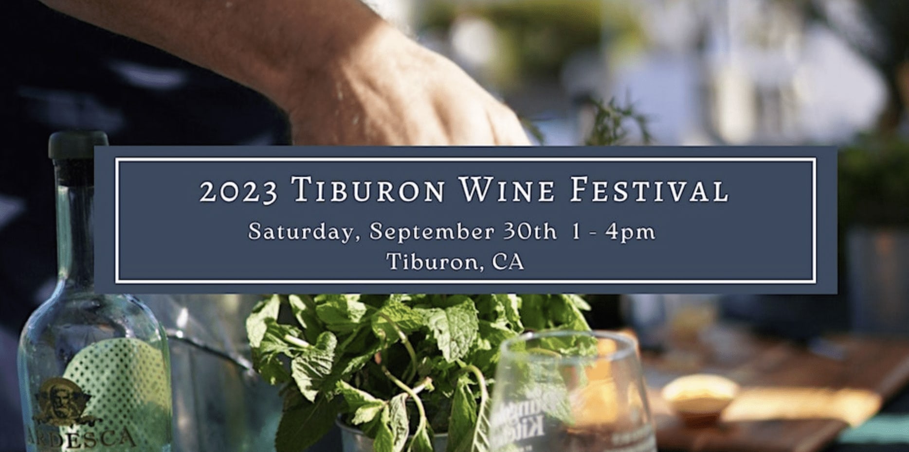 Tiburon Wine Festival 2023 Tiburon California Phillipa Criswell