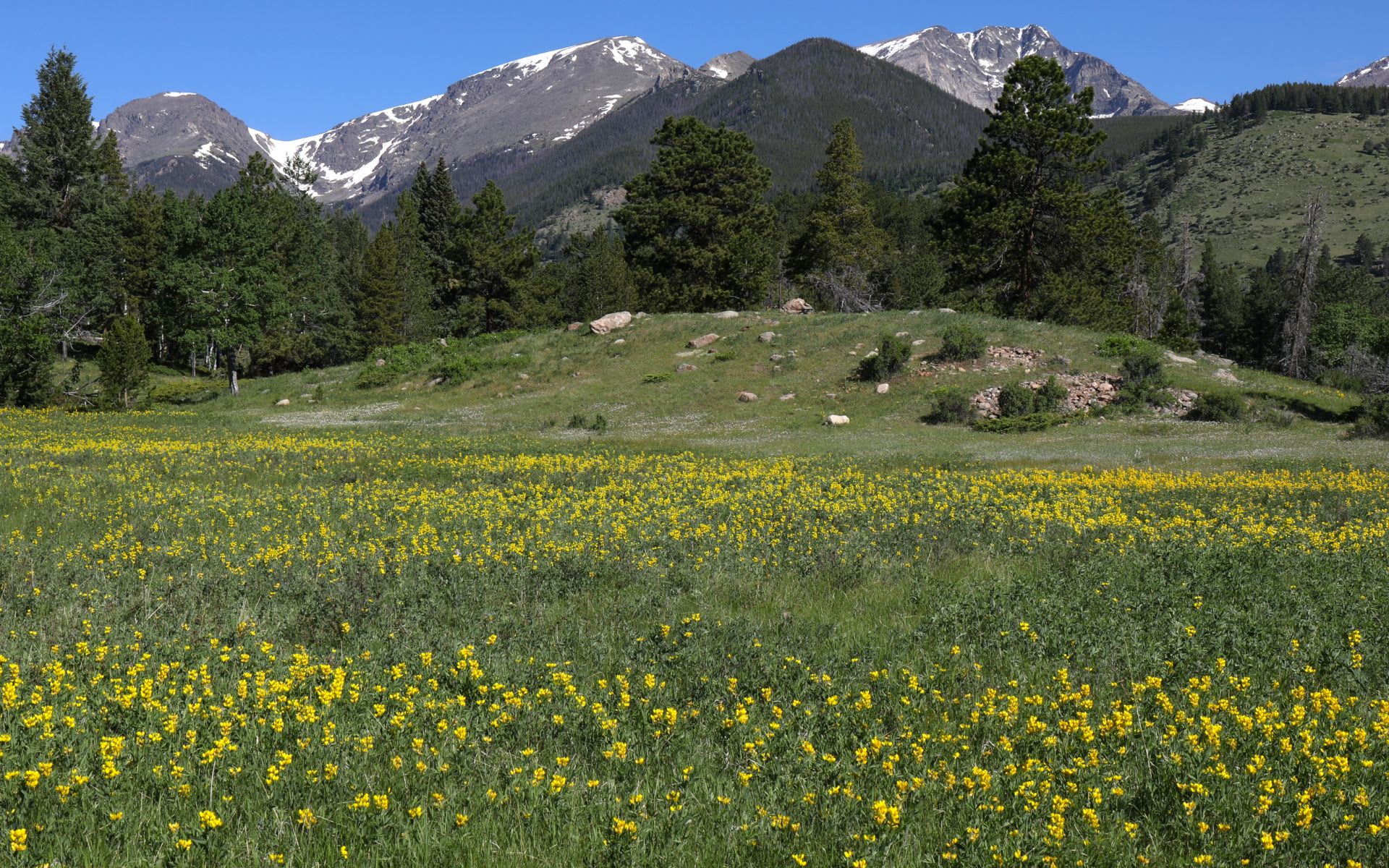 Central Park CO Real Estate & Homes for Sale Stephen Laporta