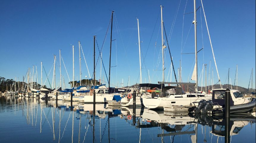 A postcard-perfect view of San Francisco Yacht Harbor.