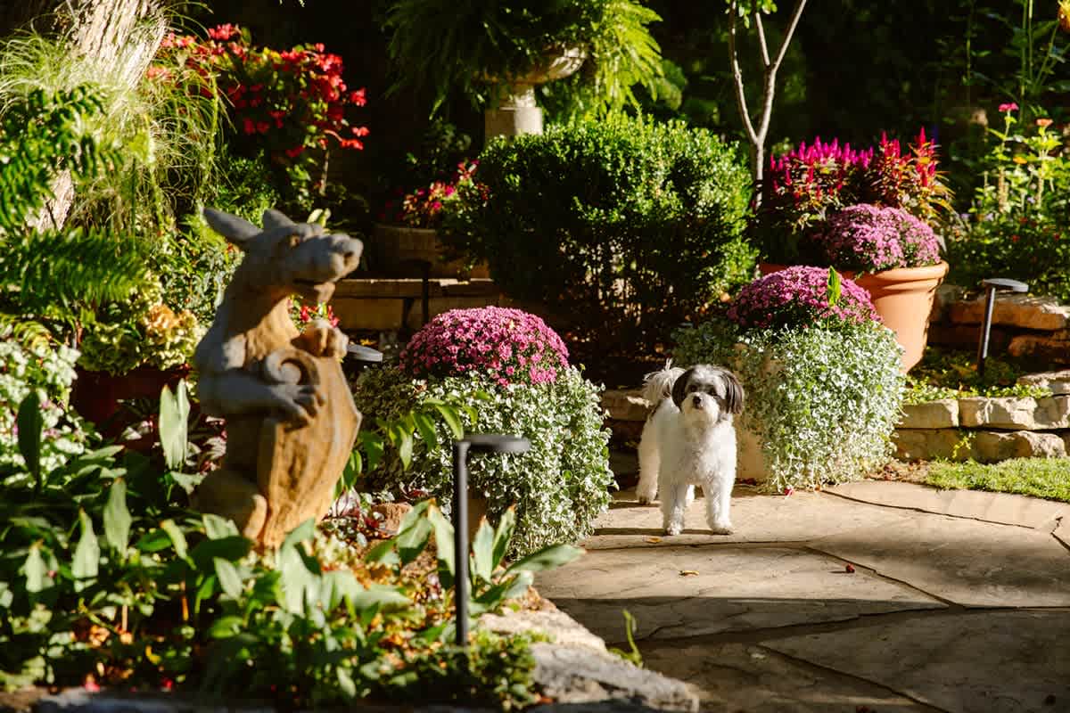 How Do You Bring the Inside Out