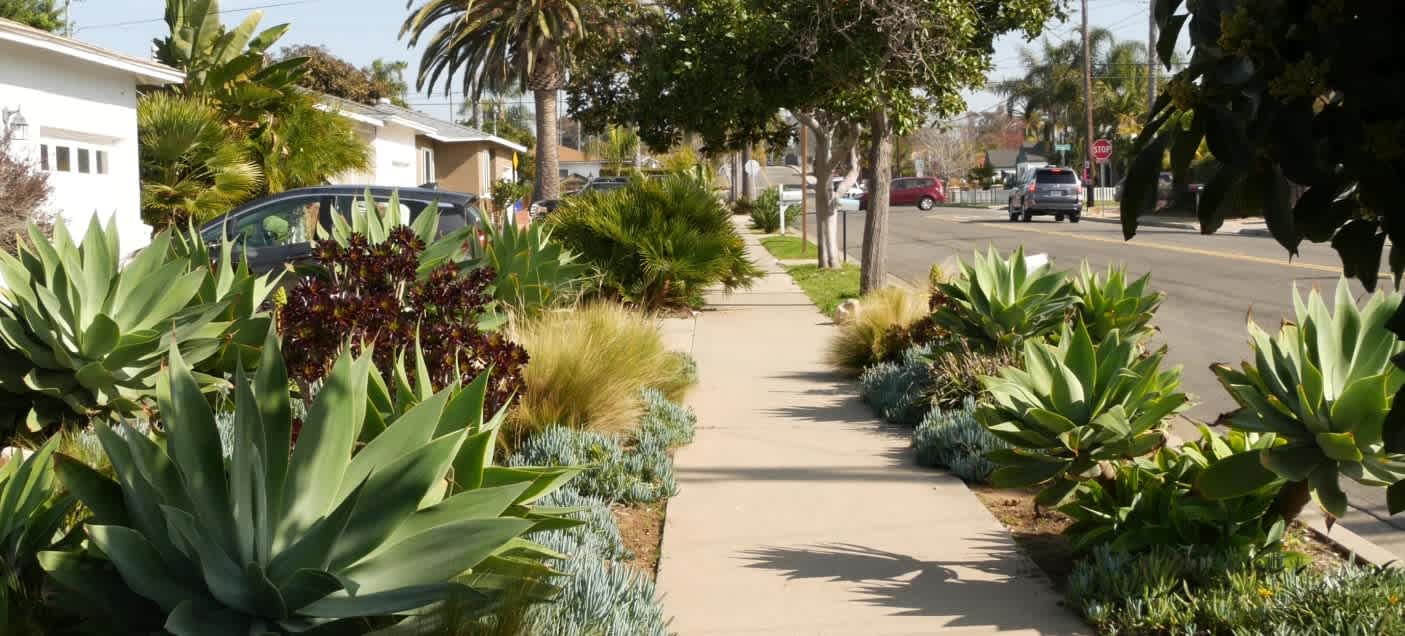 Trust Real Estate Sales Top Probate Real Estate Brokerage In Los