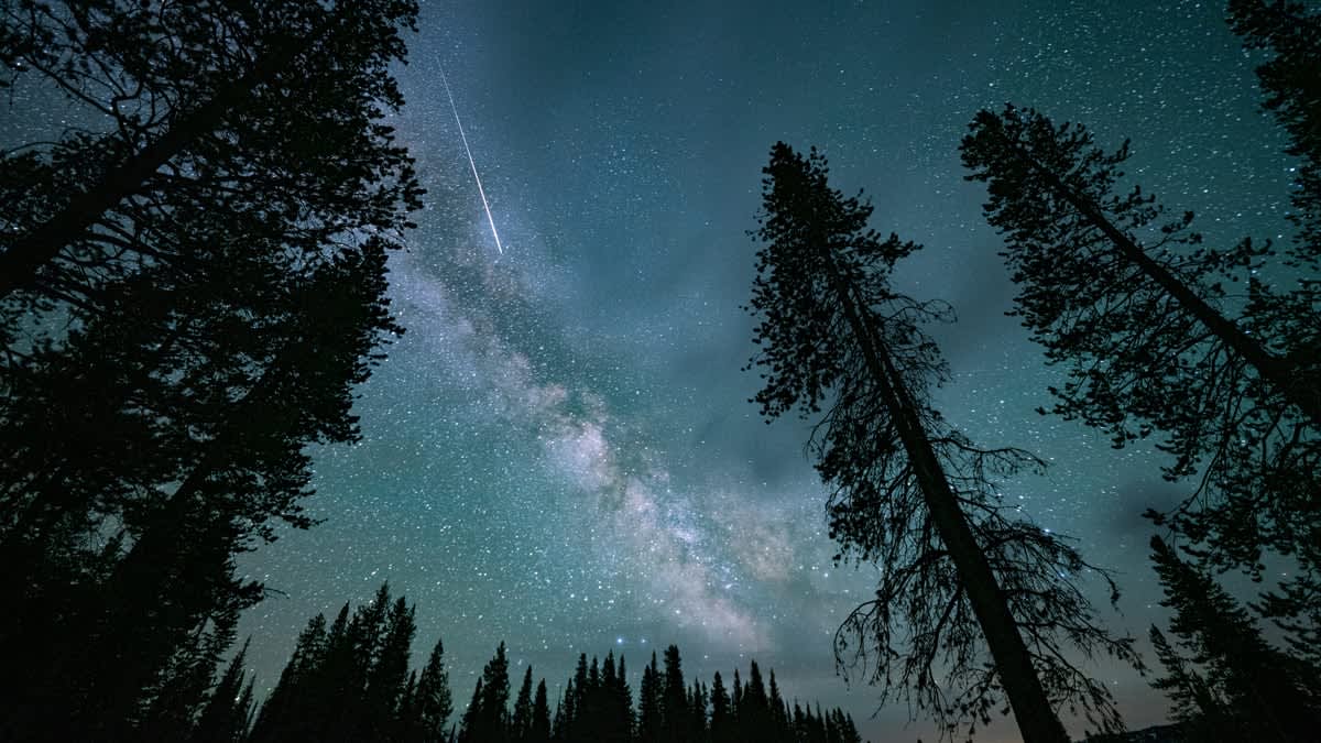 dark skies