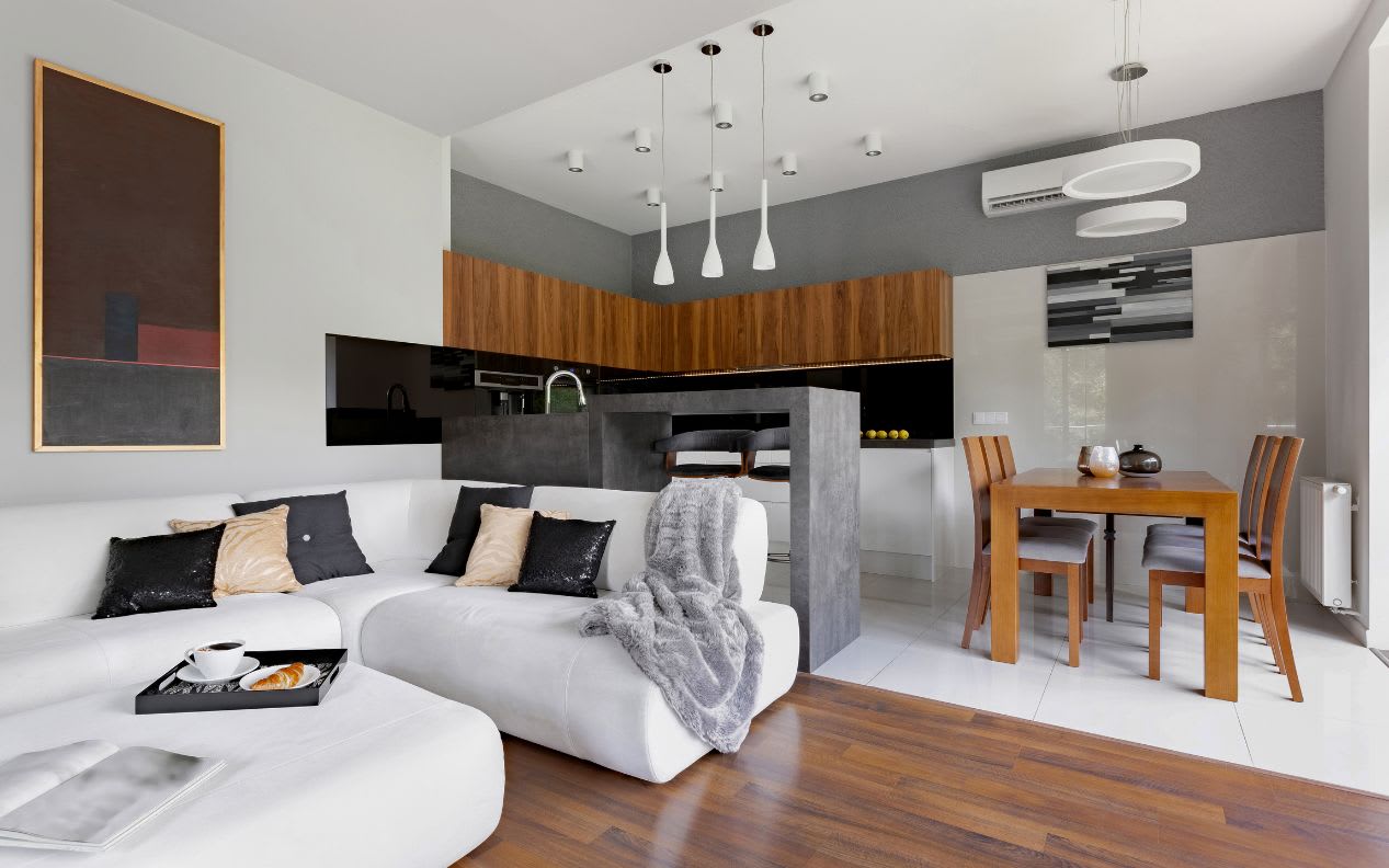 Modern open plan apartment