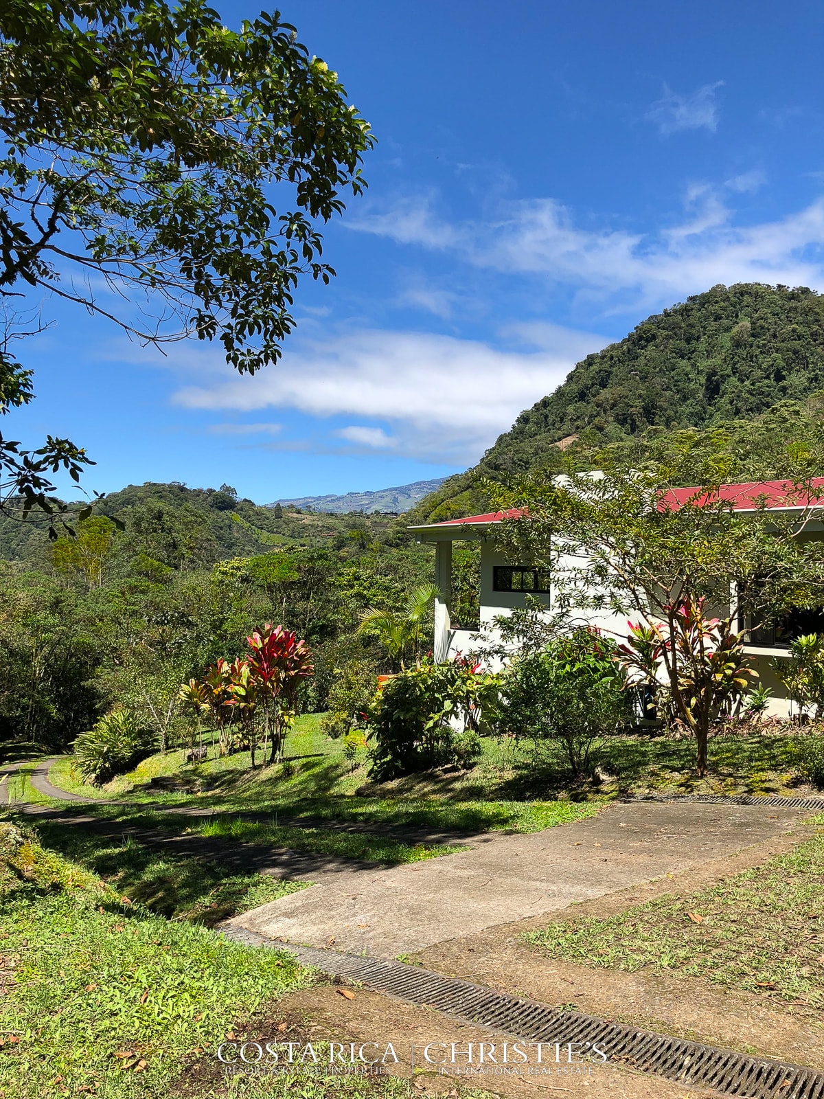 Magnificent Coffee Estate with River and Waterfall - Tierra Serena