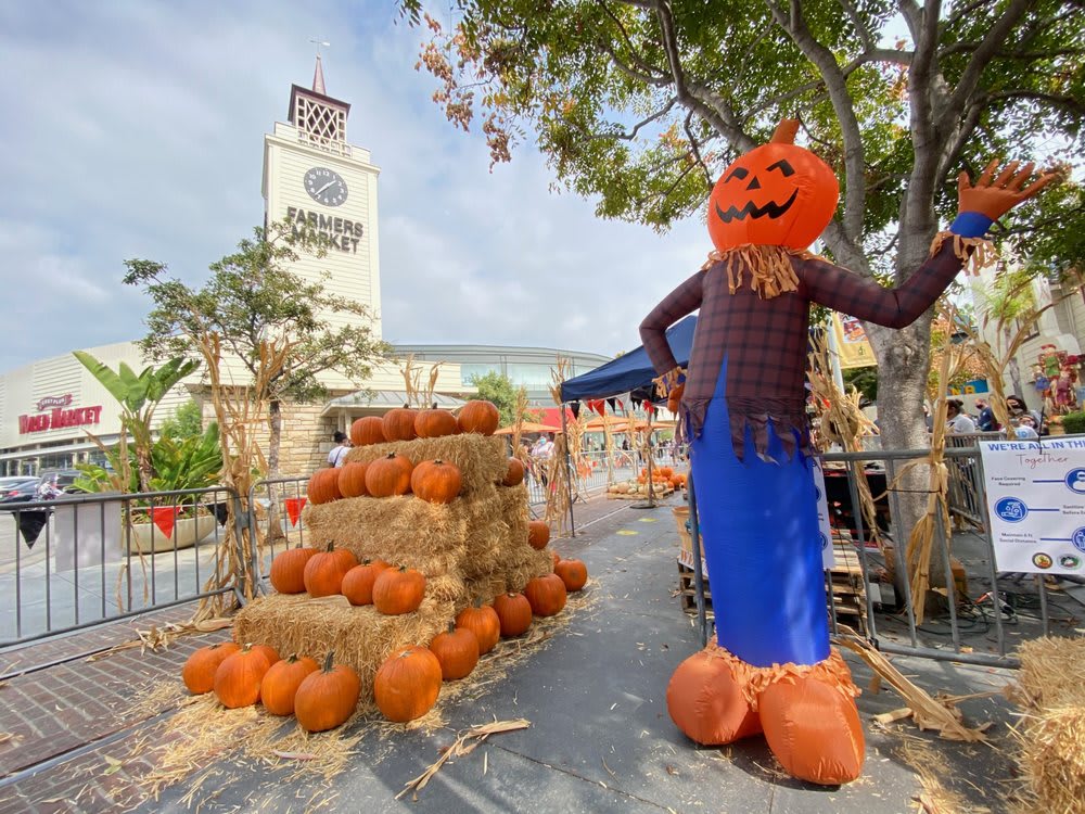 It's Pumpkin Season - South Bay Pumpkin Patches 