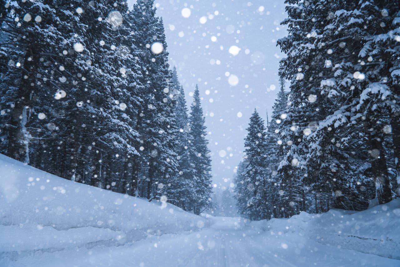 Mammoth Lakes Real Estate Market Update 2023 Limited Listings, Holding