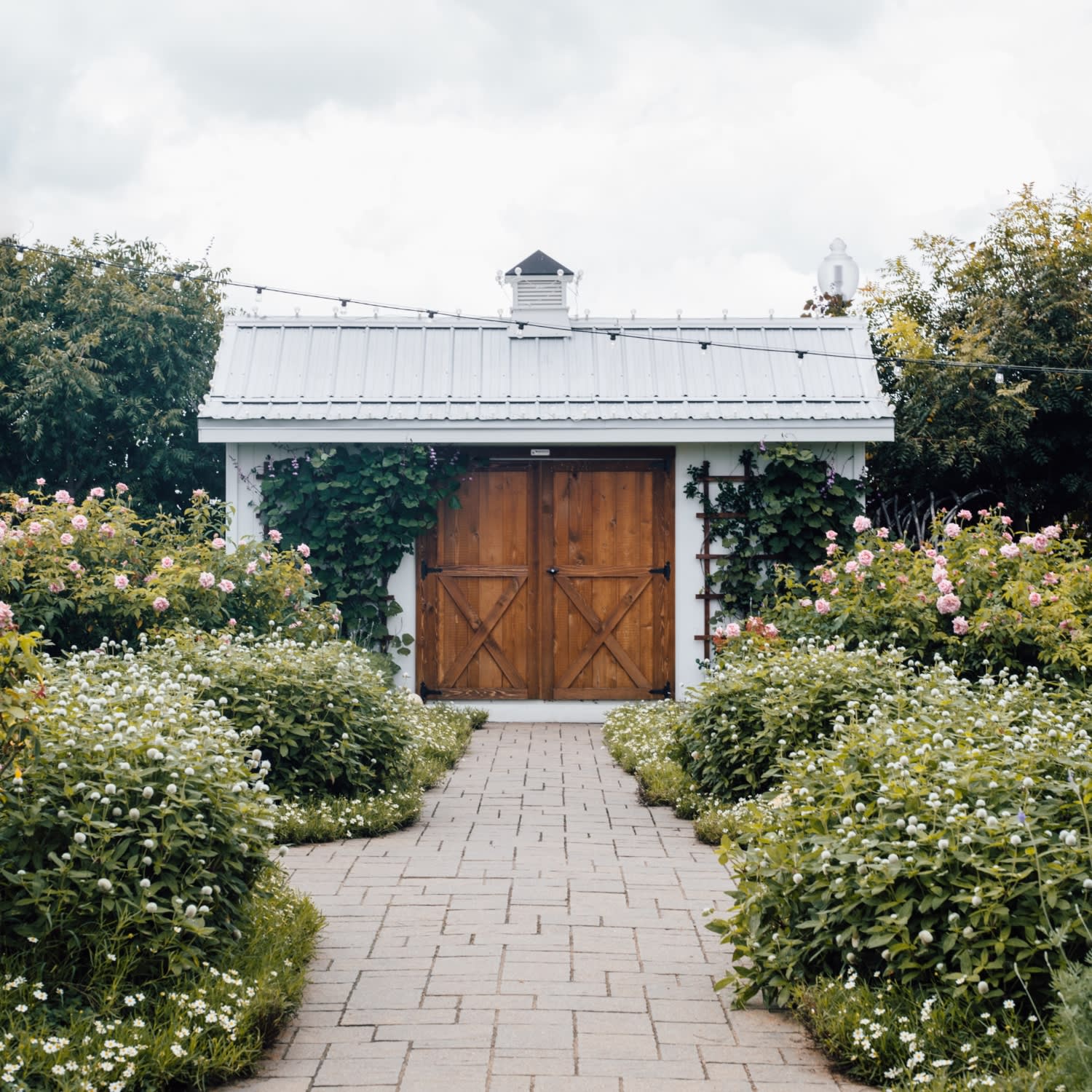 Suzanne Marina Jasso Sitka Real Estate Agent