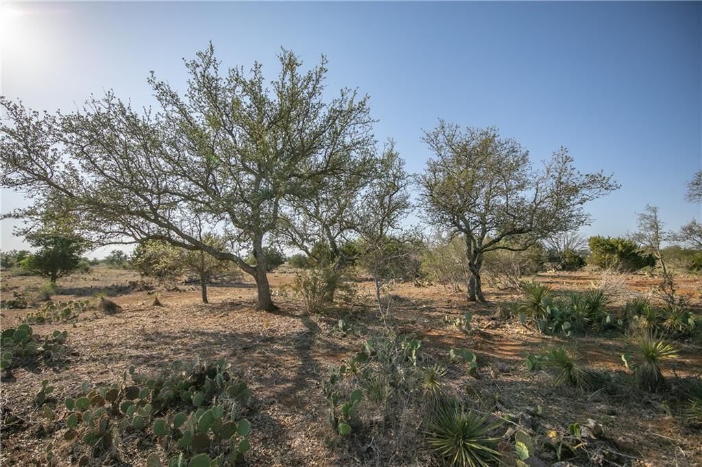 RANCH RD 1323 | 20.2 ACRES