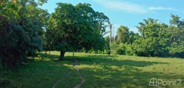 Over 8400 Feet of Stunning River Frontage on the Historic Landmark Sibun River