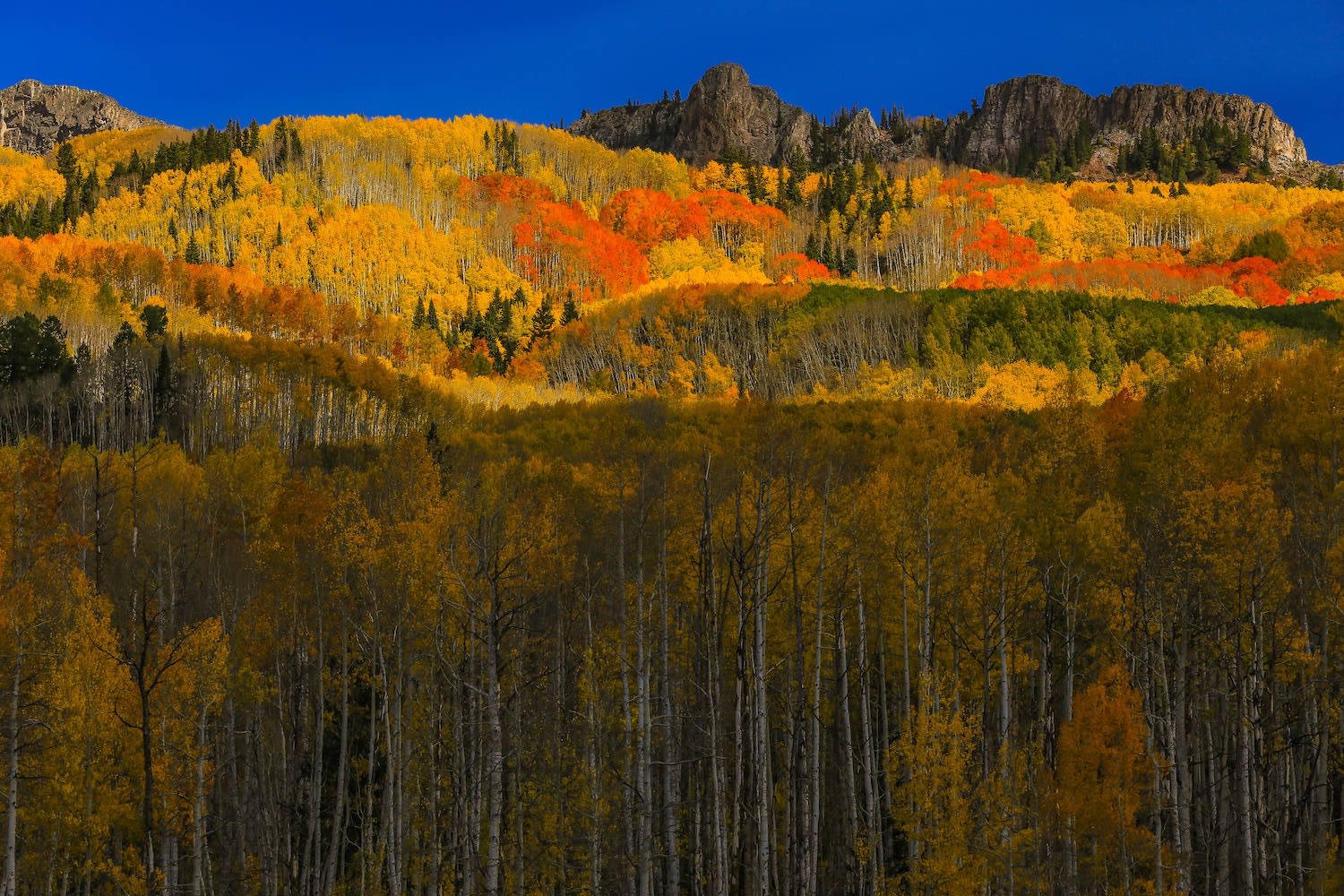 Colorado fall colors Kebler pass